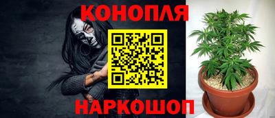 прущие грибы Ликино-Дулёво