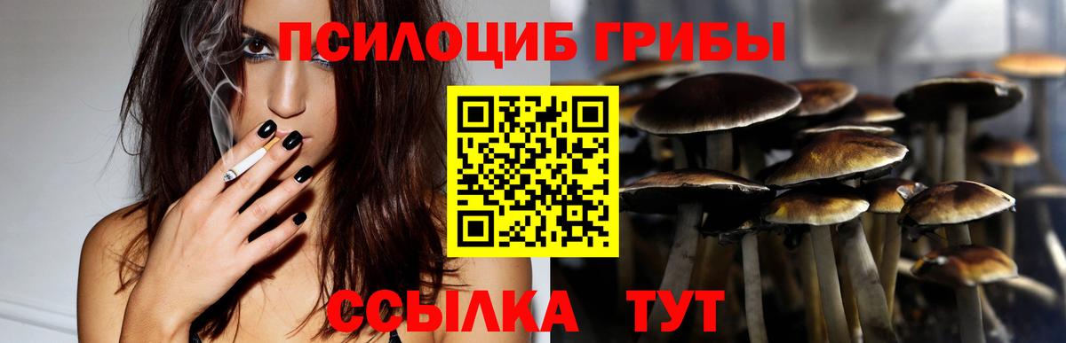 Галлюциногенные грибы Psilocybine cubensis  Вход с VPN  Феодосия 